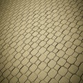 Pave stones of sidewalk