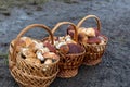 Paved country road in the mountains and three baskets of large porcini mushrooms for sale. Royalty Free Stock Photo