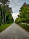 The paved countryside path along the forest.