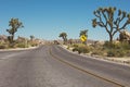Paved desert road through Joshua Tree National Pa