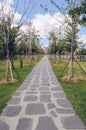 Paved footpath and alley in Busan Citizens Park