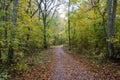 Paved footpath in autumn colors