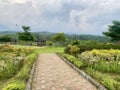 Paved footpath in mountain valley flower garden Royalty Free Stock Photo