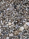 paved with gray sea pebbles path in the park, abstract textured background