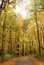 A paved, curved path through a forest preserve in the autumn with beautiful fall foliage in Kenosha, Wisconsin Royalty Free Stock Photo