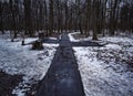 Paved path in the forest in winter Royalty Free Stock Photo