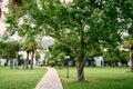 Paved path leads through a green lawn with trees and lanterns to the house Royalty Free Stock Photo