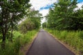 Paved path lined with trees and partly cloudy sky