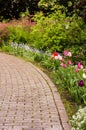Paved path or walk through garden Royalty Free Stock Photo