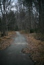 A paved path in a winter forest with barren trees