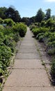 Paved pathway through a garden Royalty Free Stock Photo