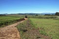 Paved Pathway Leading to Metal Scuplture of Nelson Mandela