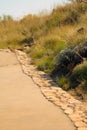 Paved pathway leading up a mountain