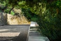 Paved pathway in a park, green trees with dangling branches, shadow and sunglight