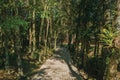 Paved pathway passing through wooded landscape