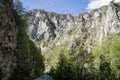 paved road in the canyon of the Tara river, in Durmitor National Park, Montenegro. Road valley between mountain and forest Royalty Free Stock Photo