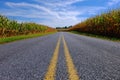 Paved Road Through Corn Field Royalty Free Stock Photo