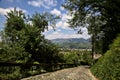 Paved road in a forest on sunny day Royalty Free Stock Photo