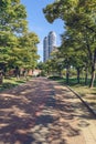 Paved road inside APEC Naru park in Busan Royalty Free Stock Photo