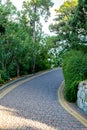 A paved road among the trees in a bright sunny summer park. Cobbled road, paving slabs among the fairy green forest Royalty Free Stock Photo
