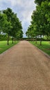 Paved road with trees on either side, beautiful garden