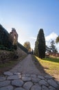 Paved road with trees, Palatine hill , Rome, Italy