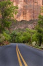 Paved road, Zion National Park Royalty Free Stock Photo