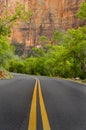 Paved road, Zion National Park Royalty Free Stock Photo