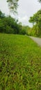 paved roads and green grass edges