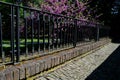 Paved sidewalk with gutter and gray metal ornate railings. lamp with glazed lampshade and black post, zig zag jagged partitions bl