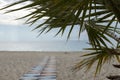 Paved stone path from the beach to the sea. frame of branches.sunset. Royalty Free Stock Photo