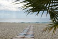Paved stone path from the beach to the sea. frame of branches.sunset. Royalty Free Stock Photo