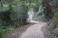 Paved Track at the Base of Tomaree Mountain Royalty Free Stock Photo