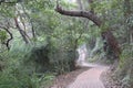 Paved Track at the Base of Tomaree Mountain Royalty Free Stock Photo