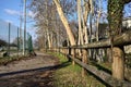 Paved trail bordered by bare trees next to a stream of water and a group of houses on a sunny day in the italian countryside