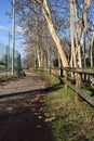 Paved trail bordered by bare trees next to a stream of water and a group of houses on a sunny day in the italian countryside