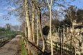 Paved trail bordered by bare trees next to a stream of water and a group of houses on a sunny day in the italian countryside