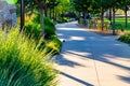 paved trail in a park