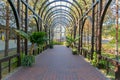 Paved walk walkway with a wooden frame and various decorative green blossoms