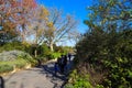 A paved walking path with people walking in masks with pink and yellow trees and lush green plants along the path Royalty Free Stock Photo