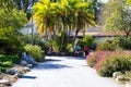 A paved walking path with people walking in masks with pink and yellow trees and lush green plants along the path