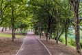 Paved walking path under shade trees Royalty Free Stock Photo