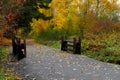 Paved Walking Trail and Bright Autumn Leaves