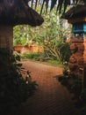 paved walkway through the balinese greenhouse in Hellersdorf