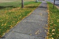 A paved walkway with fall color leaves on the ground Royalty Free Stock Photo