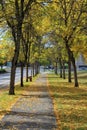 A paved walkway with fall color leaves on the ground Royalty Free Stock Photo