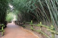 Paved walkway with fencing and bamboo