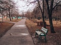 Paved walkway in the littered park