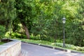 Paved walkway in a park with pine trees.