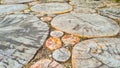 Paved walkway with sand and green grass. tree pattern